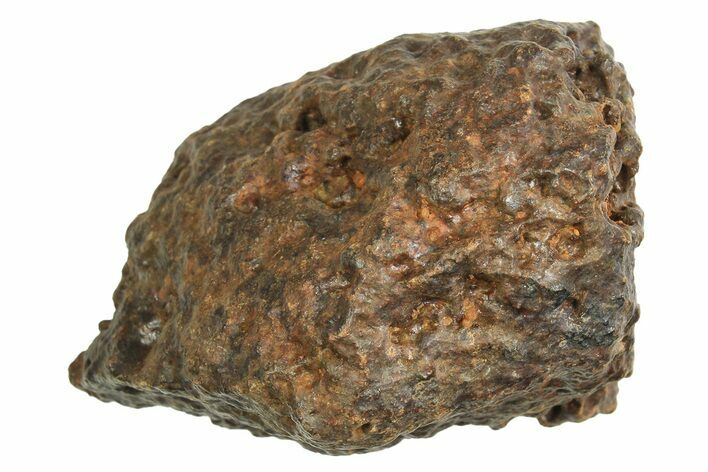 Chondrite Meteorite ( g) - Western Sahara Desert #296236